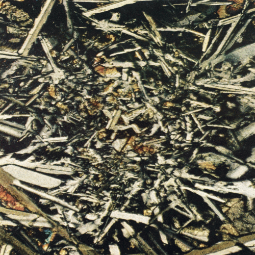 Kidnapped : Nowhere Is Sterile